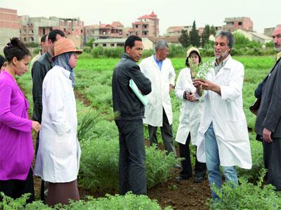 Création d'un observatoire des filières agricoles Dans le cadre de l'Accord d'association Algérie-UE