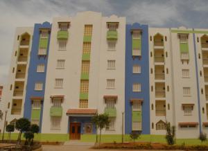 بطال يبيع شقة ل5 أشخاص ويتحول إلى ملياردير بغليزان