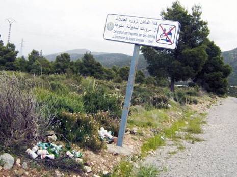 Bouteilles et canettes agressent la nature Dégradation de l'environnement