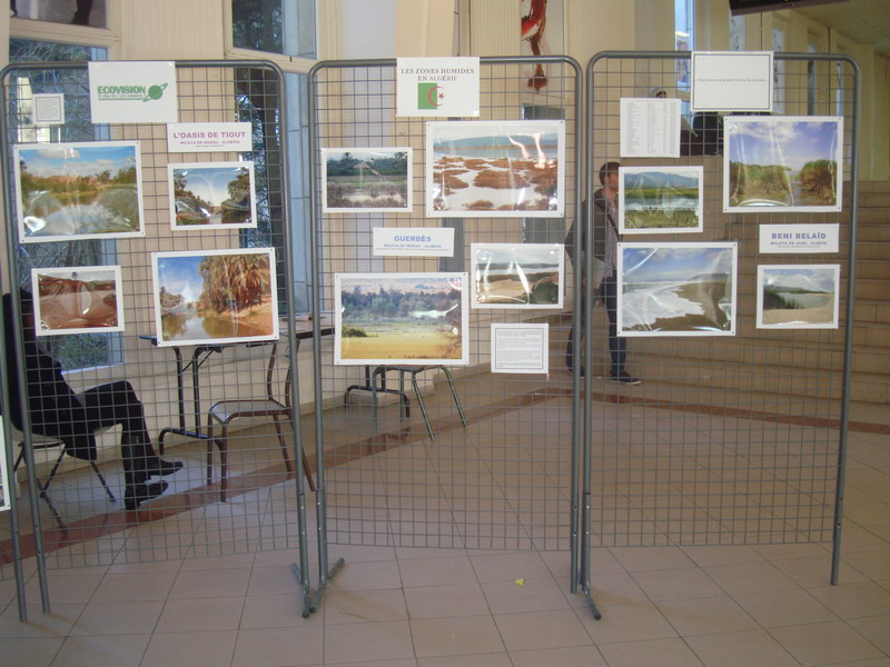 EXPOSITIONS A  Marseille  LES ZONES HUMIDES EN ALGERIE