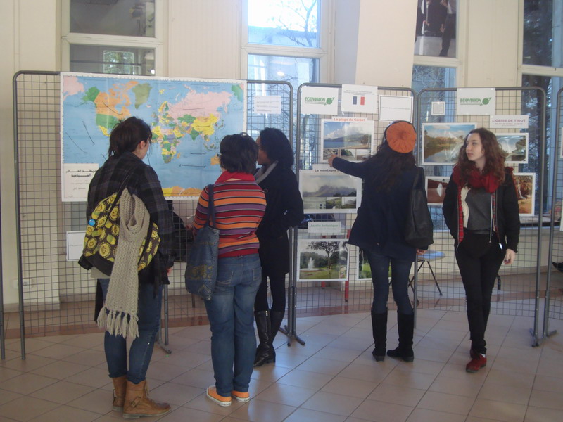 EXPOSITIONS à  Marseille  LES ZONES HUMIDES EN ALGERIE