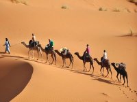 Vaste programme de développement du tourisme saharien au profit des jeunes