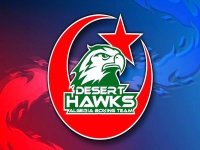 World Series Boxing : Les 