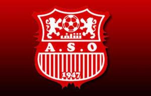 تعيين مساعد سابق ل سعدان مديرا فنيا ل  الشلفاوة