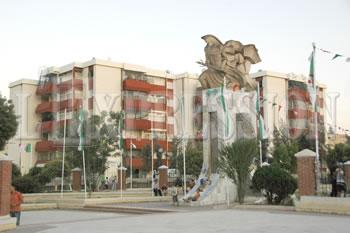 Les citoyens exigent des gynécologues BOUIRA