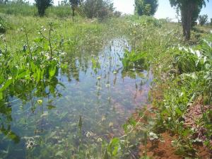 LES ZONES HUMIDES EN ALGERIE