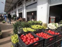 Dégradation des conditions de travail, selon l'UGCAA Marchés de gros des fruits et légumes