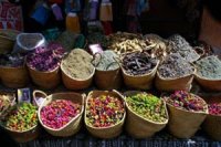 Herboriste, une activité florissante à Oran Malgré les risques que font peser les plantes nocives