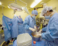 Tizi Ouzou 9 greffes rénales en 2012