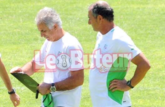 Halilhodzic «Oui, je compte bien renforcer la barre technique»