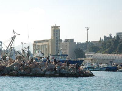 Le coup de gueule des marins pêcheurs Grève au port de pêche à Annaba