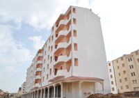 Tipaza / Logements Finies les cités-dortoirs