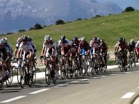 Cyclisme : le Trophée d'excellence arabe décerné aux sélections algériennes