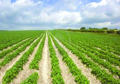 On ne doit pas oublier nos prédécesseurs