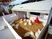 Du traditionnel à la modernité Rush à la grande exposition de l'agriculture