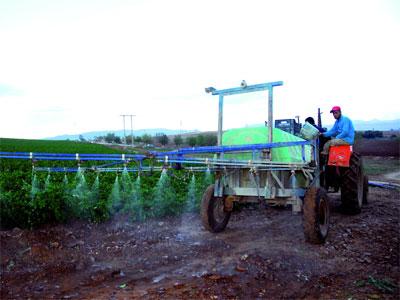 1 460 concessions agricoles accordées à Annaba Sur 2 153 dossiers étudiés