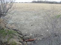 BISKRA Des eaux usées traversent des exploitations agricoles