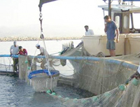 Boumerdès / Pêche et aquaculture La 1re zone d'activités extra-portuaire nationale