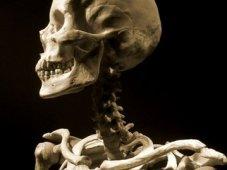 العثور على هيكل عظمي جنوب الولاية في سيدي بلعباس