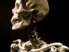 العثور على هيكل عظمي جنوب الولاية في سيدي بلعباس