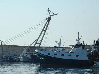 Une délégation ministérielle à l'écoute des marins-pêcheurs Grève au port de pêche d'Annaba