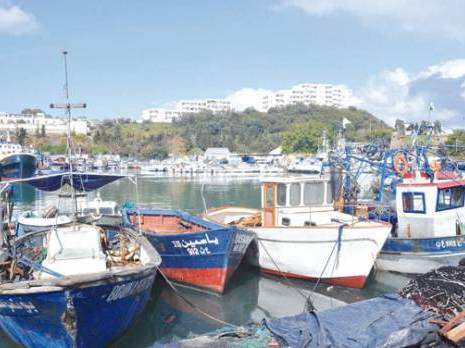 Annaba : le port paralysé près d'un mois Actualité : les autres articles