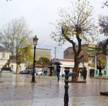 Des points noirs dans la ville de saint Augustin Souk Ahras sans commodités