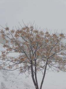 اهتمام الاساتزة بااطفال