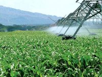 Rachid Benaïssa expose à Paris les grands objectifs de la politique agricole algérienne