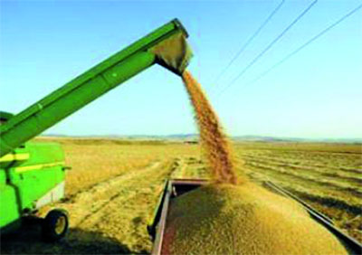 Les céréaliculteurs soulagés par la réalisation de deux silos