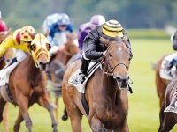 3 poteaux de départ Les courses à Zemmouri