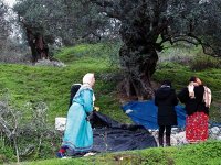 Le développement rural au féminin pluriel 8 Mars journée internationale de la femme