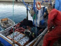 Le secteur de la pêche compte améliorer son système de contrôle (ministre)