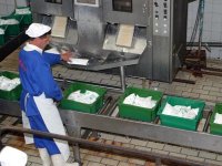 Dix millions de dinars de manque à gagner par jour Grève à Colaital