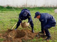 10.000 arbustes seront plantés dans le voisinage des structures de la sûreté de wilaya à Sétif