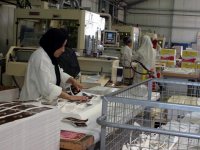 Un parcours en dents de scie Sondage sur la carrière professionnelle des Algériennes