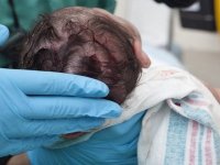 Mortalité maternelle : près de 1000 cas chaque année en Algérie (association)