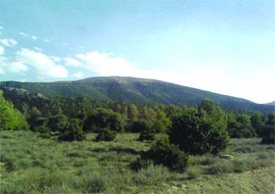 Radio Khenchela lance une semaine de sensibilisation