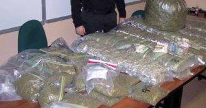 ضبط 500 غرام من الكيف المعالج لدى مروجين بفرندة في تيارت