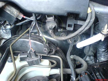 Afric Cables, un produit 100% algérien pour accompagner les véhicules Renault en Algérie