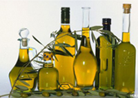 Souk Ahras L'oliveraie de Thagaste