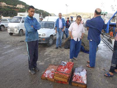 Les intermédiaires sur le marché du poisson mis à l'index Envolée des prix des produits de la mer à Jijel