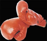 Nabil Saâdi, nouveau président Fédération algérienne de boxe