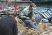 Des pêcheurs... sans bateau A El Marsa dans la wilaya de Chlef