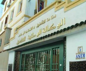 عمال عقود ما قبل التشغيل يحتجون بولايتي المسيلة والبرج