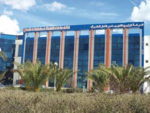 La SDE promet un été sans coupures d'électricité Mise en service de 100 postes de distribution à Tébessa