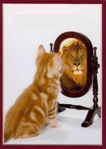 Quand les cherdima du régime traitent nos jeunes chômeurs de '. »cherdima » !!