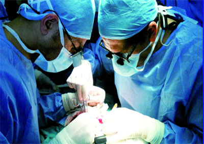 800 enfants dialysés nécessitent une greffe en Algérie