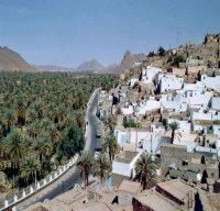 Installation des comités intersectoriels de suivi du dossier de l'emploi à Illizi, Tindouf, Adrar et Tamanrasset