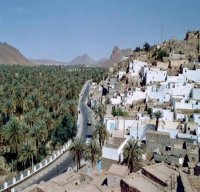 Installation des comités intersectoriels de suivi du dossier de l'emploi à Illizi, Tindouf, Adrar et Tamanrasset